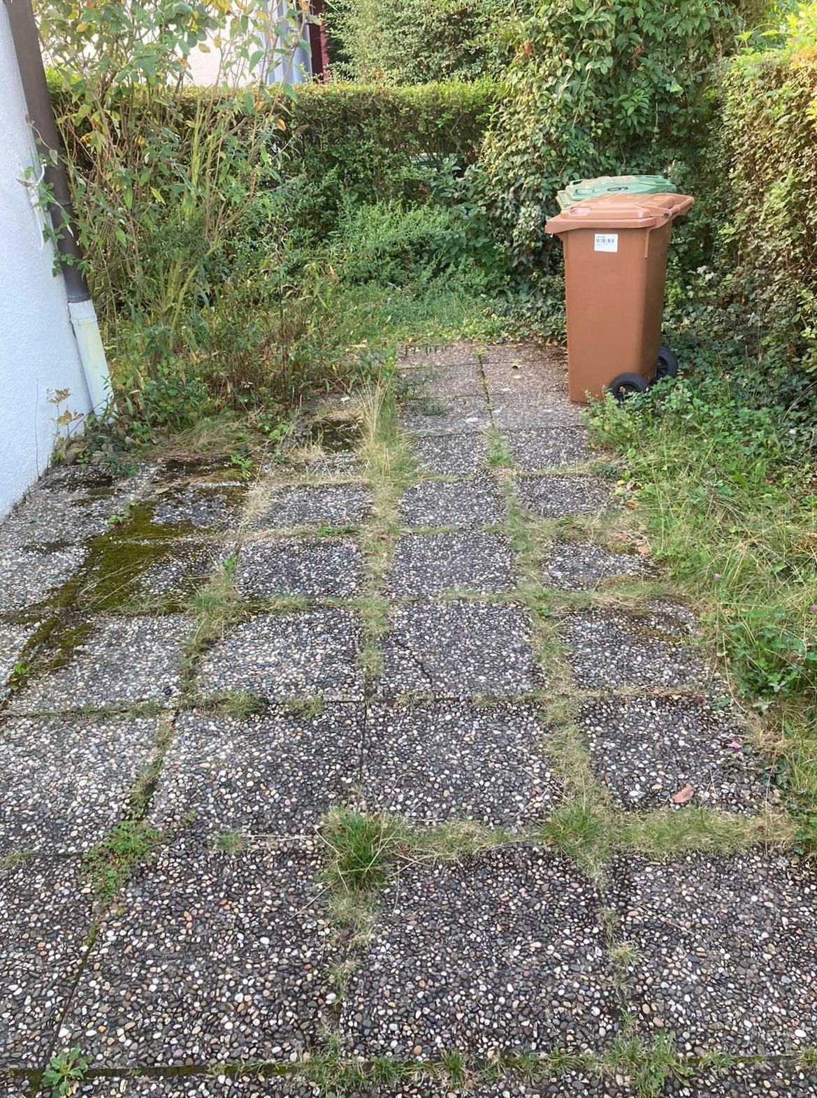 VOR der Vorgartenumgestaltung...